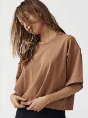 Joah Brown Cropped Boxy Crewneck Tee in Camel Brown